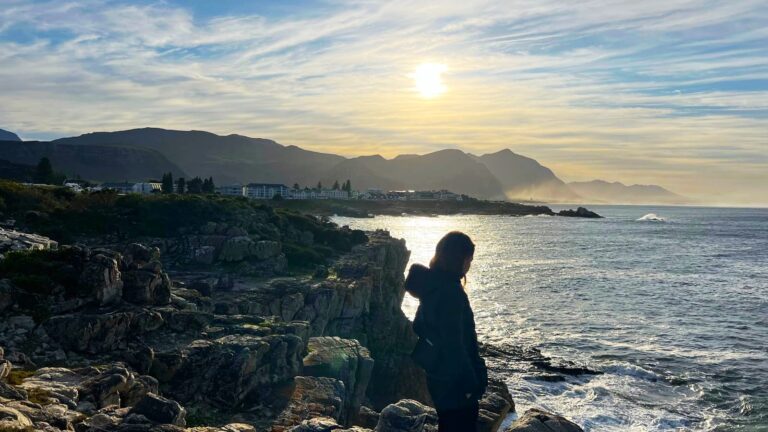 Qué hacer en Hermanus, el pueblo sudafricano de las ballenas