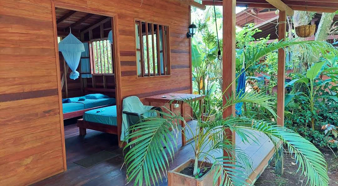 Alojarte en la Tarima del Colibrí, una de las mejores cosas que puedes hacer en el Chocó.