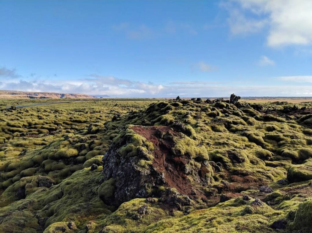 Gönguleid um Eldhraun, el campo de musgo del sur de Islandia.