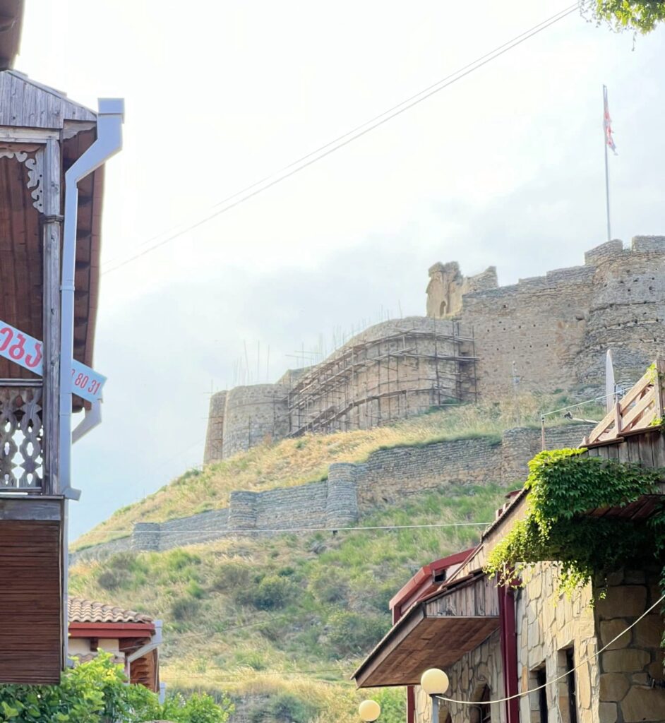 Vistas de la fortaleza desde el centro de Gori.