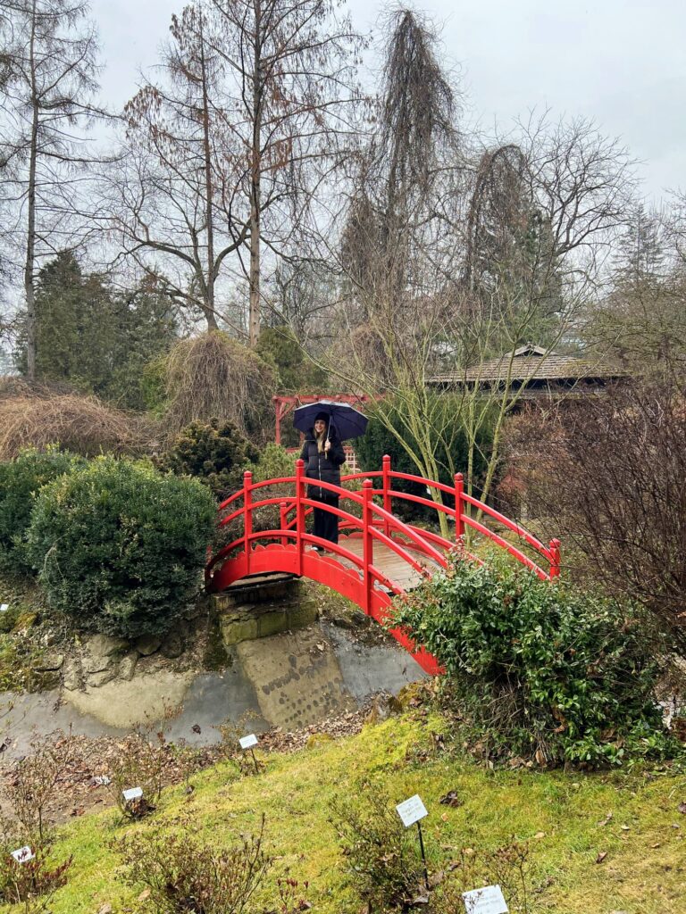El jardín japonés dentro del Jardín Botánico de Cluj-Napoca.
