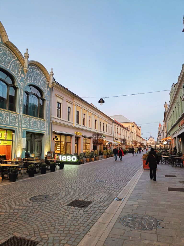 Recorrer la Strada Vasile Alecsandri, una de las cosas que tienes que hacer en Oradea.