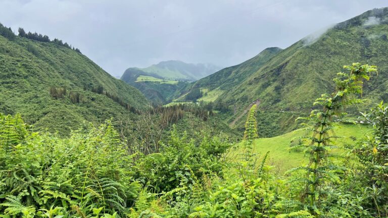 Conducir en Ecuador: seguridad, carreteras y alquiler de coche