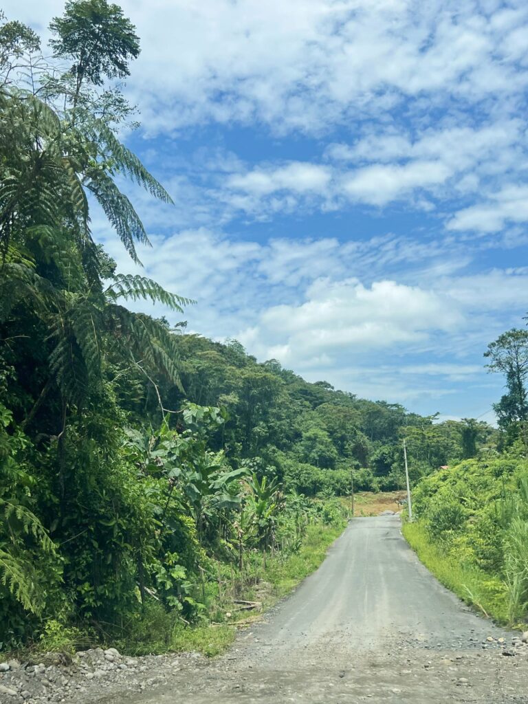 Camino al Mirador Indichuris, una de las mejores cosas que hacer en Puyo.