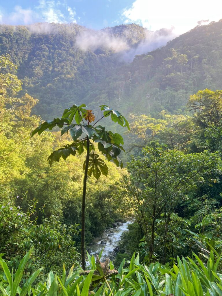 Ruta de las Cascadas de Baños: Cascada El Rocío Machay