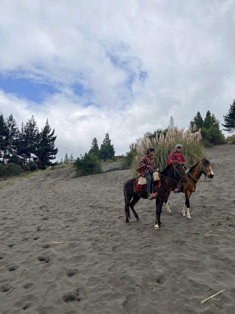 Viajar a Ecuador por libre: el Desierto de Palmira.