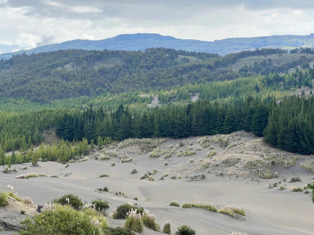 Visitando las Lagunas de Atillo y el Desierto de Palmira en un día
