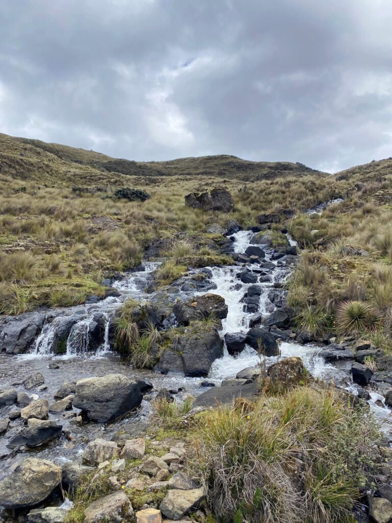 El Parque Nacional de Cajas por libre