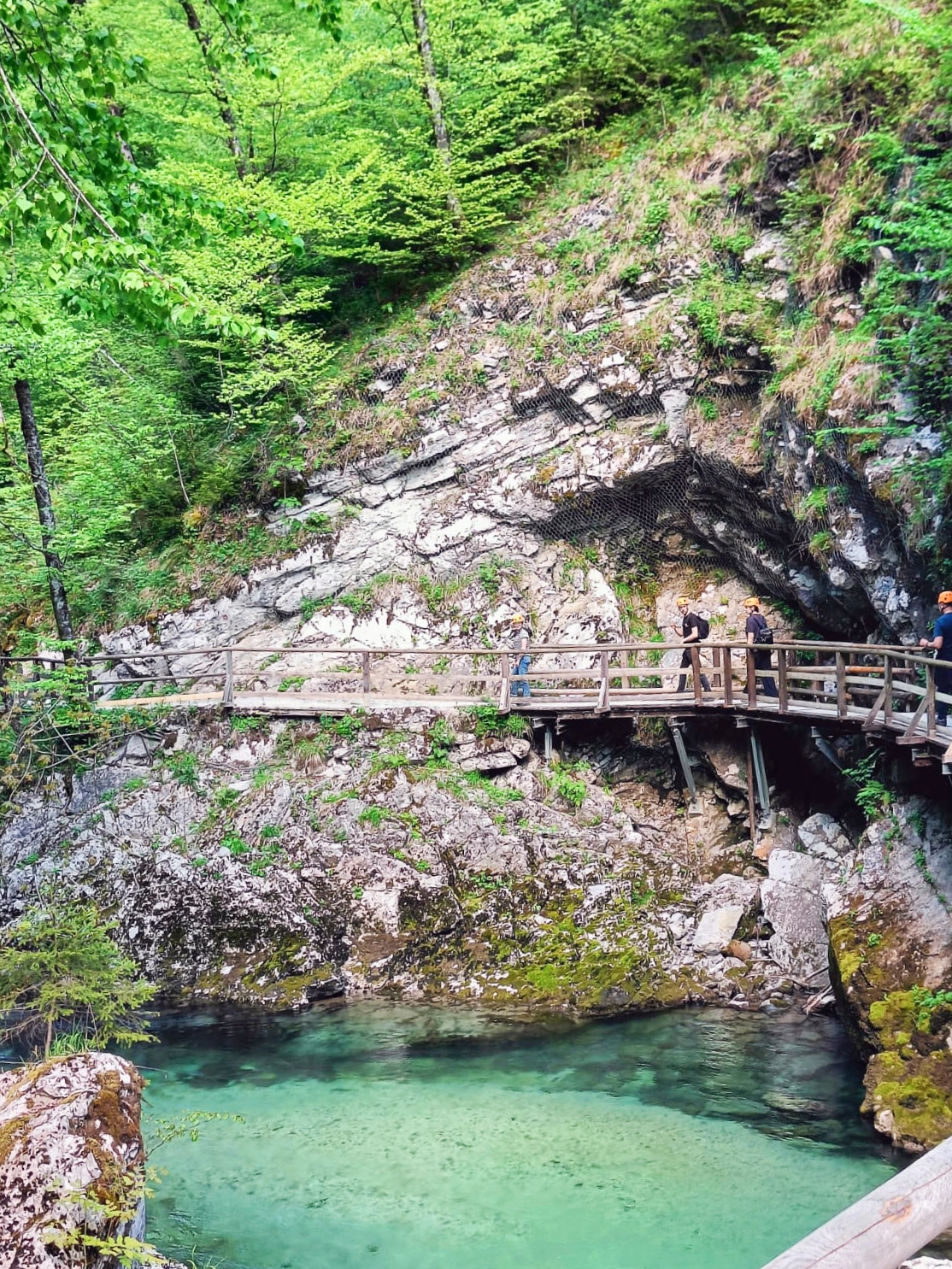 Pasear por la Garganta de Vintgar, una de las mejores cosas que hacer en Bled!