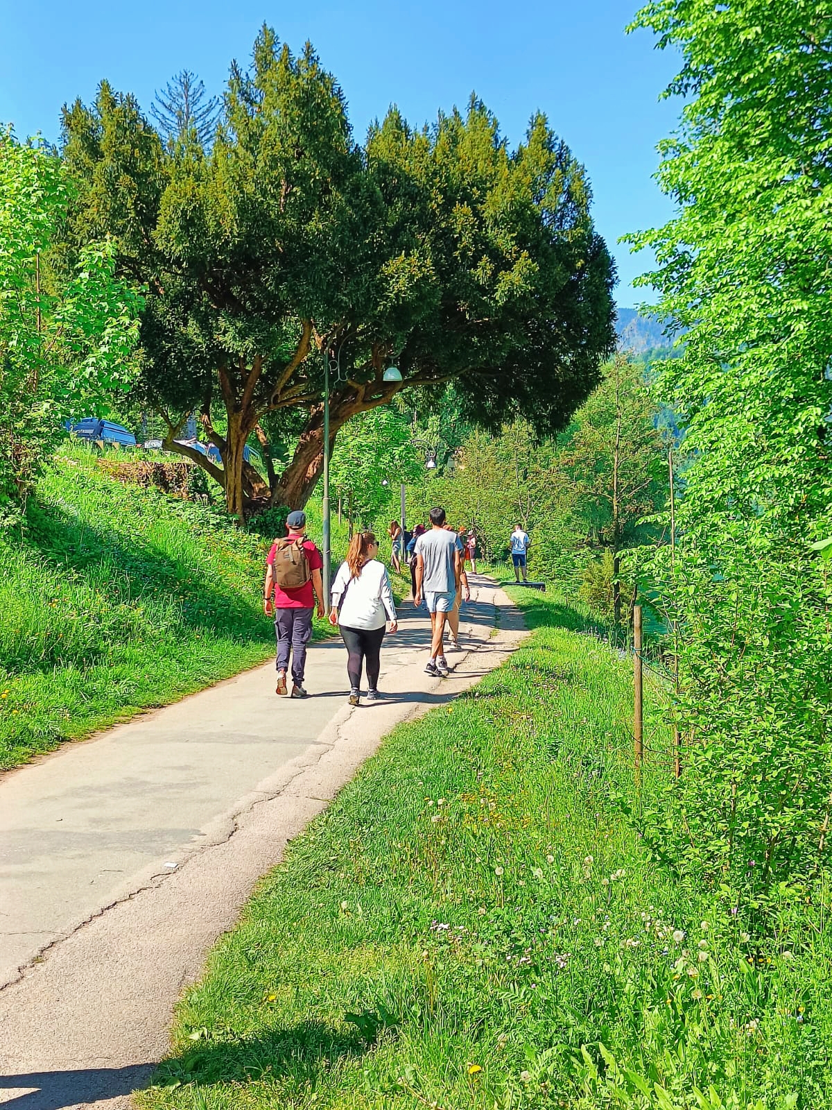 Rodear el lago, una de las mejores cosas que hacer en Bled.