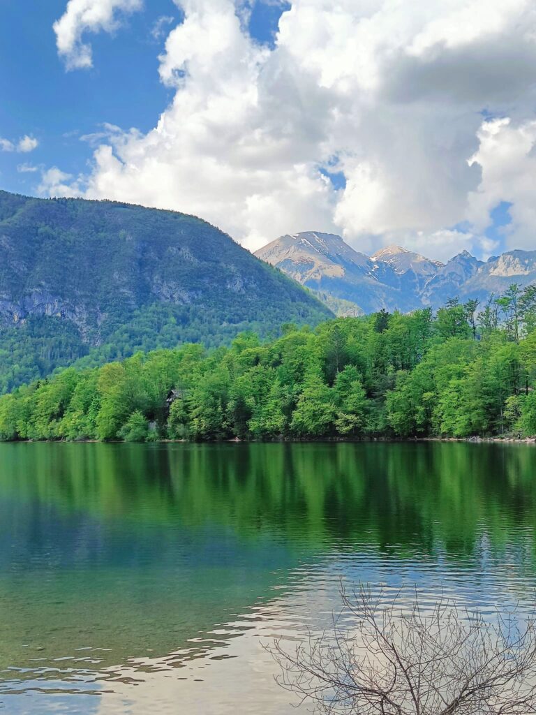Visto desde arriba o desde abajo, el Lago Bohinj es precioso.